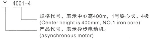 西安泰富西玛Y系列(H355-1000)高压YE2-112M-8三相异步电机型号说明