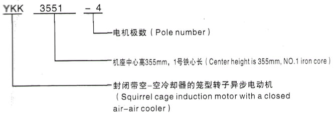 YKK系列(H355-1000)高压YE2-112M-8三相异步电机西安泰富西玛电机型号说明