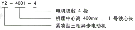 YR系列(H355-1000)高压YE2-112M-8三相异步电机西安西玛电机型号说明